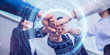 Structuring Clarity into Complex Teams